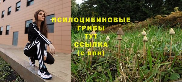 стаф Пересвет
