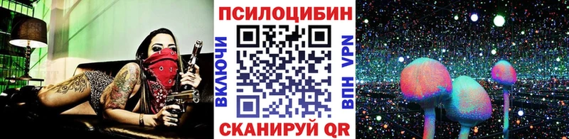 купить наркотики сайты  KRAKEN маркетплейс  Галлюциногенные грибы прущие грибы  Трубчевск 